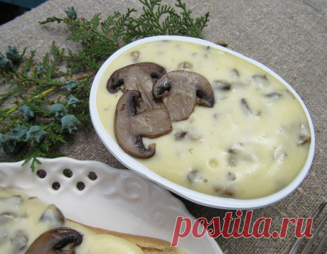 Сыр плавленный с грибами!
Fromage fondu aux champignons!
Cheese melted with mushrooms!
Formaggio fuso con i funghi!