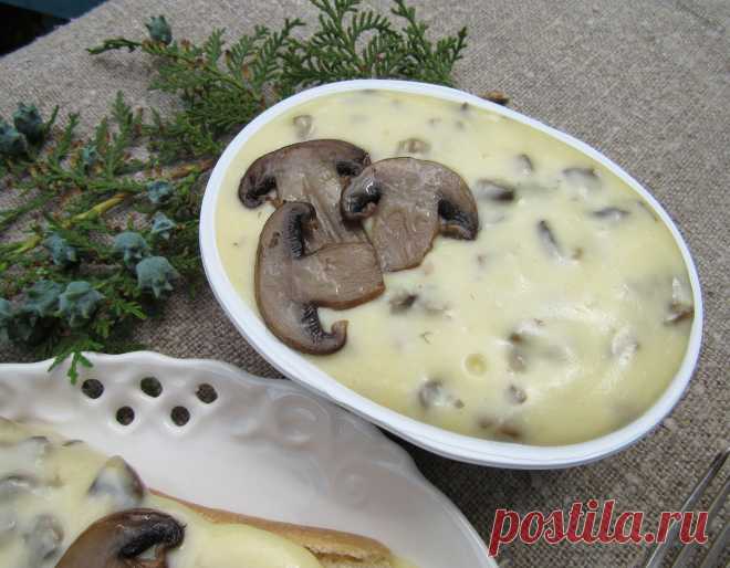 Сыр плавленный с грибами!
Fromage fondu aux champignons!
Cheese melted with mushrooms!
Formaggio fuso con i funghi!