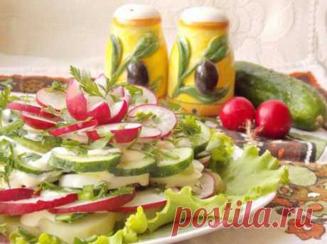 Весенний слоёный салат

Самый простой весенний салат из редиса, яйца и огурцов, оформленный по-новому, становится похожим на праздничный, нарядный торт. Обычно мы готовим салаты так: нарезали, заправили, перемешали. Со слоёными салатами скорей ассоциируются «зимние», калорийные варианты, наподобие «Мимозы» или «Самоцветов». А вот салат из весенних овощей в таком исполнении я попробовала впервые. И новая подача знакомого блюда пришлась нам по вкусу.