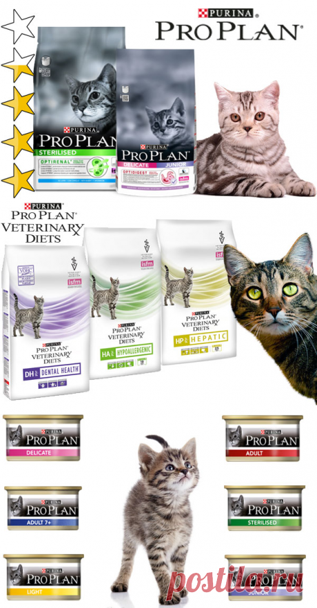 Корм для кошек Проплан (Pro Plan) Purina: обзор, виды, состав, отзывы
