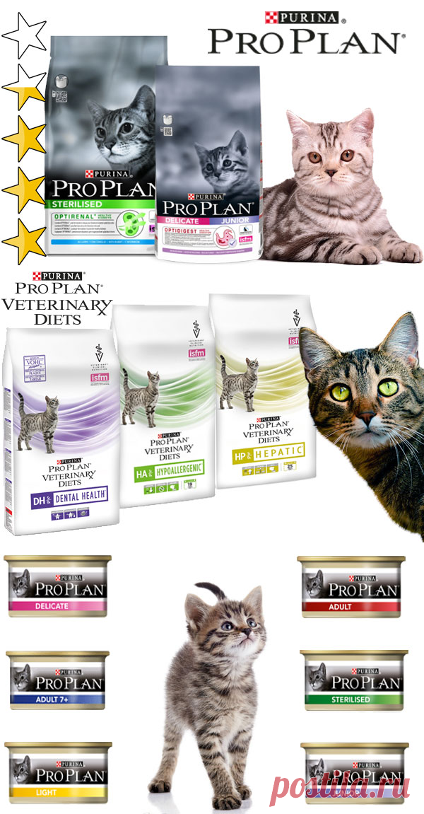 Корм для кошек Проплан (Pro Plan) Purina: обзор, виды, состав, отзывы