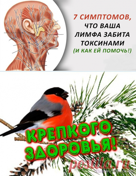 7 симптомов, что ваша лимфа забита токсинами...