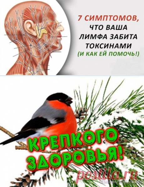 7 симптомов, что ваша лимфа забита токсинами...