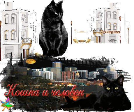 Кошка и Человек | Музыкальные Открытки Бесплатно
Кошка и Человек...  &gt;  https://vip-otkrytki.ru/koshka-i-chelovek/  #МузыкальныеОткрытки #авторЛеонидКравчишин #VipOtkrytki