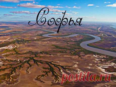 (96) Софья Минквиц