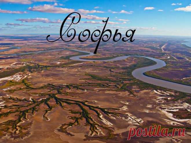 (96) Софья Минквиц