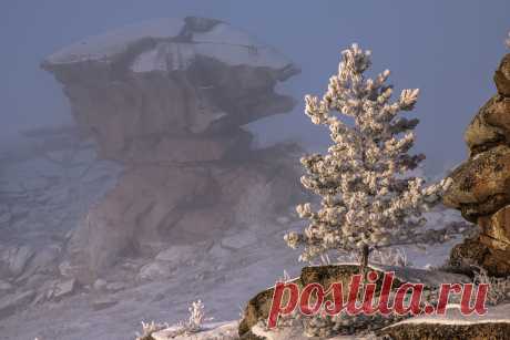 Утро морозного дня. Фотограф Евгений