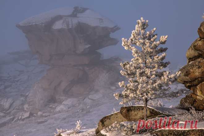 Утро морозного дня. Фотограф Евгений