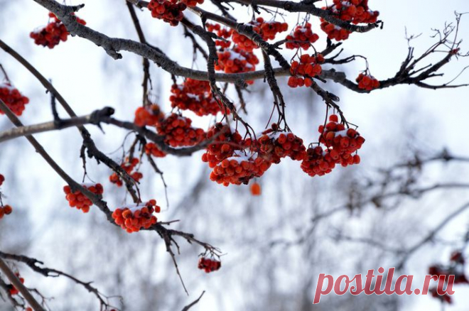 Песня о Новокузнецке