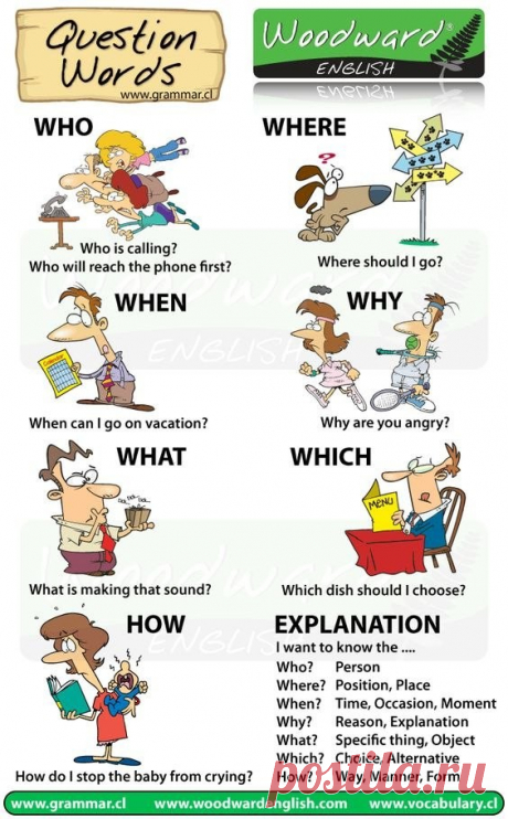 Wh-questions worksheets
Виды вопросов с примерами
Who- кто
Where- где
When - когда
What - что
Which - какой
How - как