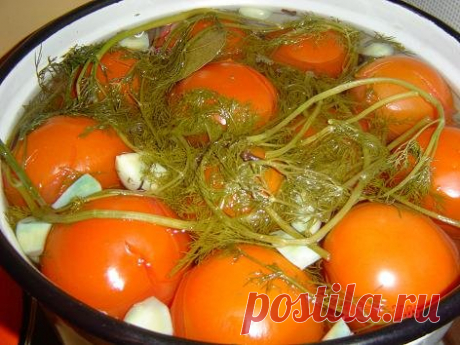Мои старые испоробованные рецепты. Соленые красные помидоры.