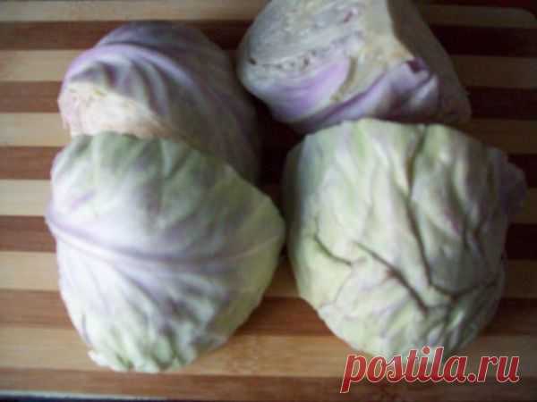 капустные оладьи