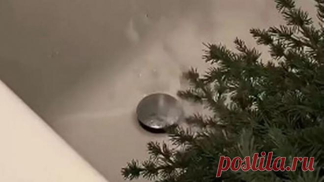 Соцсети удивила женщина, вымывшая рождественскую елку в ванне. Пользователей соцсетей удивила женщина из Англии, которая вымыла рождественскую елку в ванне, пишет Mirror. Люди не понимают, зачем она это сделала, а британка уверена - так дерево будет чище. Женщина опубликовала в соцсетях кадры с ...