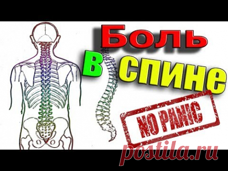 ОСТЕОХОНДРОЗ И ВСД