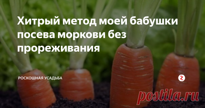Хитрый метод моей бабушки посева моркови без прореживания Морковь высаживает каждый дачник. Но сам процесс этот очень трудоемкий. Семена моркови очень мелкие, поэтому их крайне тяжело высадить так, чтобы потом не прореживать.
