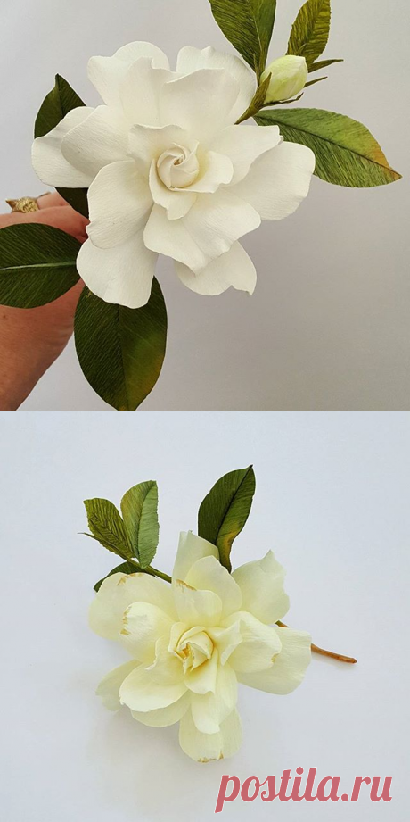 Lynn Dolan (@lmdolan75) • Фото и видео в Instagram