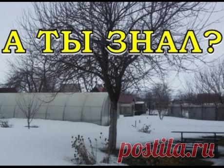 МАРТ. Работы в саду - YouTube