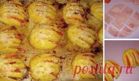 Идеальный ужин для самых любимых «Праздничные тюльпаны»
Питательный ужин с роскошным шиком!
Ингредиенты:— 1 кг. картофеля (одинаковой величины)— 50 г. сливочного масла— 100 г. тёртого сыра— 1-2 помидора— 70 г. ветчины— соль, перец
Приготовлени…