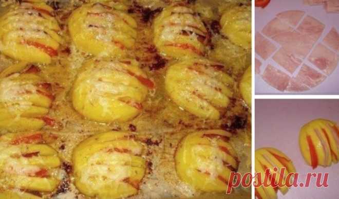 Идеальный ужин для самых любимых «Праздничные тюльпаны» 


Питательный ужин с роскошным шиком!










Ингредиенты:— 1 кг. картофеля (одинаковой величины)— 50 г. сливочного масла— 100 г. тёртого сыра— 1-2 помидора— 70 г. ветчины— соль, перец
Приготовлени…