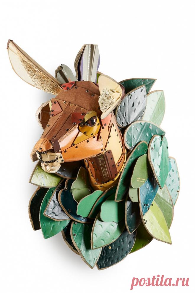 Федерико Урибе: управление гневом (трафик)