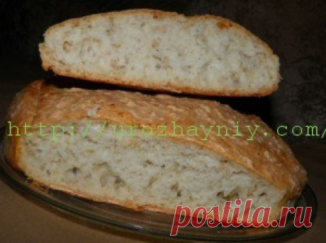 Финский хлеб | Урожайная дача, интернет журнал, все о даче