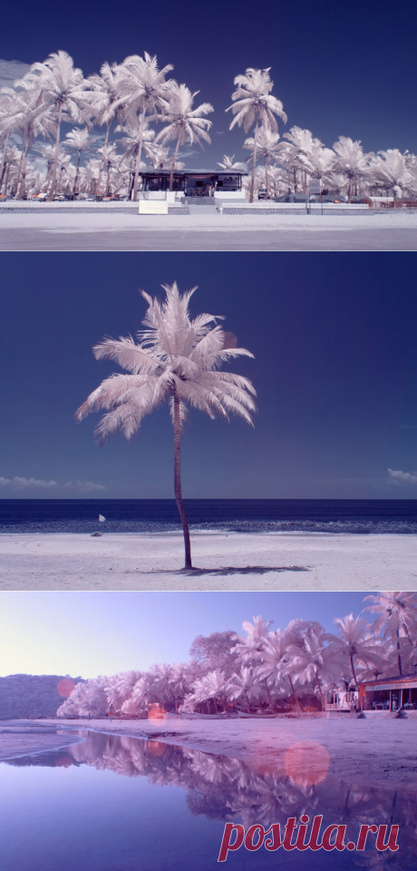 Волшебный Гоа: 16 инфракрасных фотографий знаменитого курорта в межсезонье