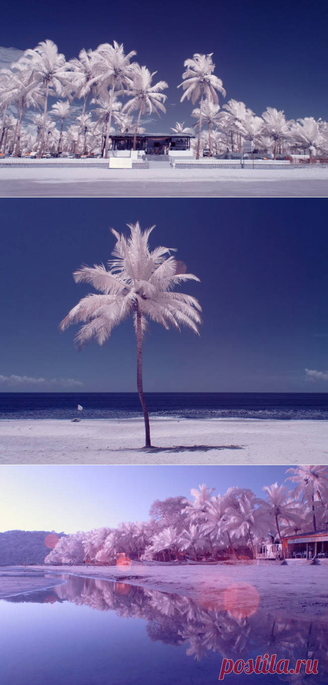Волшебный Гоа: 16 инфракрасных фотографий знаменитого курорта в межсезонье