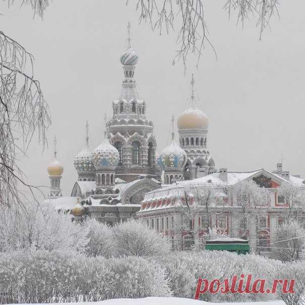 Зимняя сказка в Санкт-Петербурге