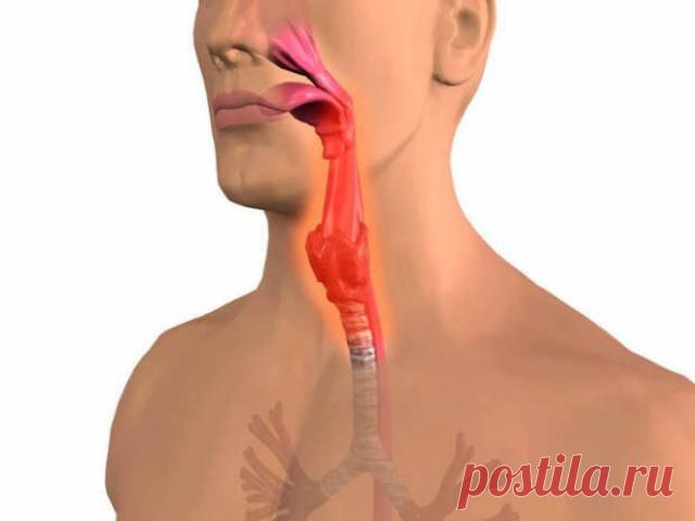 Как вывести слизь из организма и стать здоровее на 10 лет