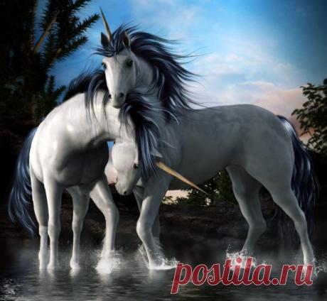 Единороги » Сайт о лошадях KoHuKu.ru
