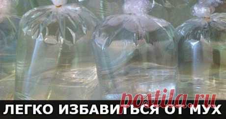 (3) Одноклассники