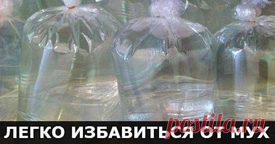 (3) Одноклассники