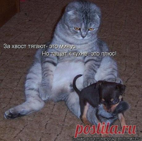 Полезные советы             ✿✿✿✿✿