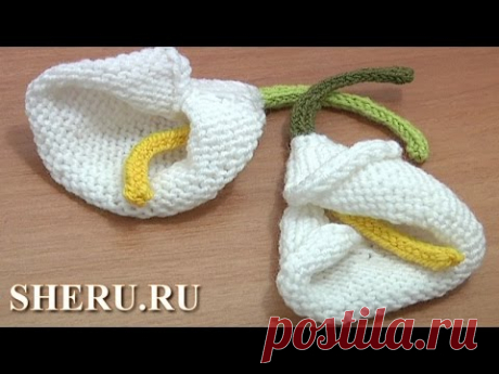 Knitted Cala Lily Flower Tutorial 29 Цветок калла спицами