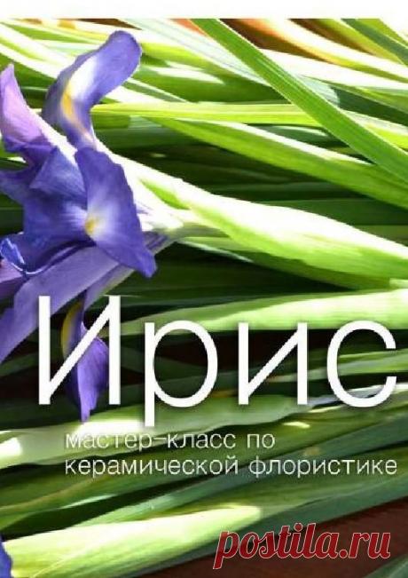 Мастер-класс по керамической флористике. Ирис #ClippedOnIssuu