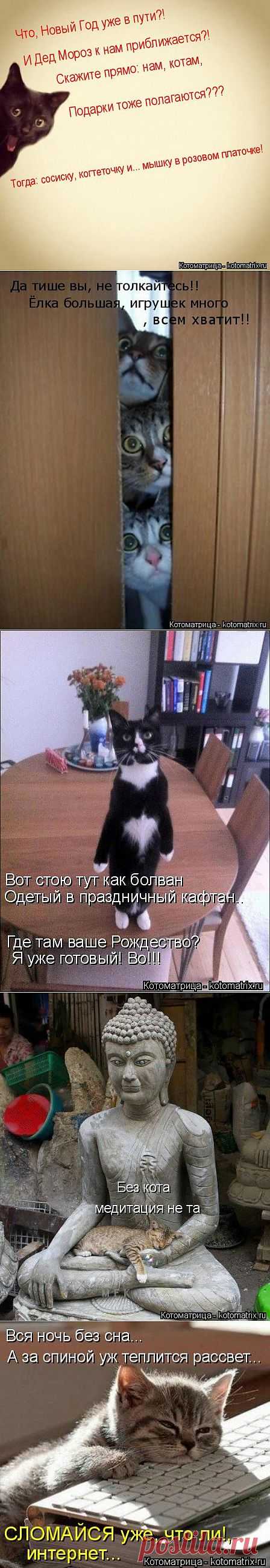 Новогодняя котоматрица.