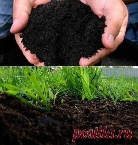 Чем удобрять почву – черноземом или перегноем? | Купить строительный песок и щебень с доставкой по доступной цене в Москве