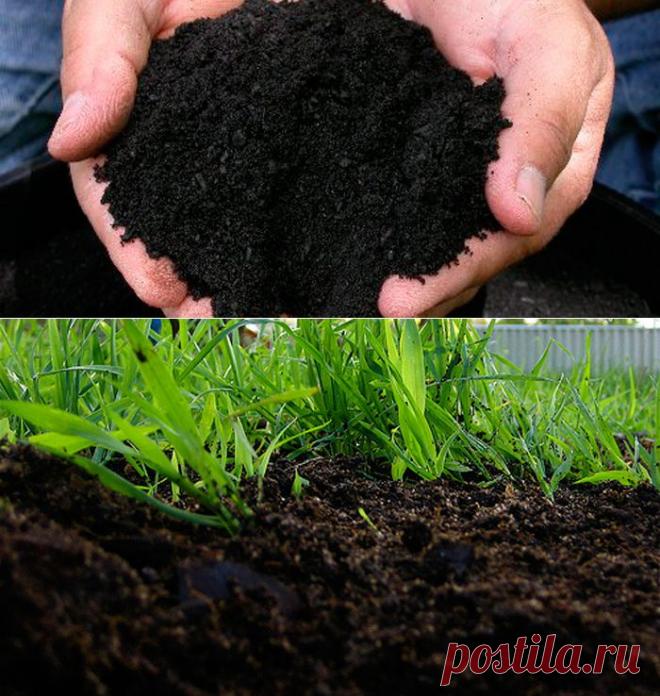 Чем удобрять почву – черноземом или перегноем? | Купить строительный песок и щебень с доставкой по доступной цене в Москве