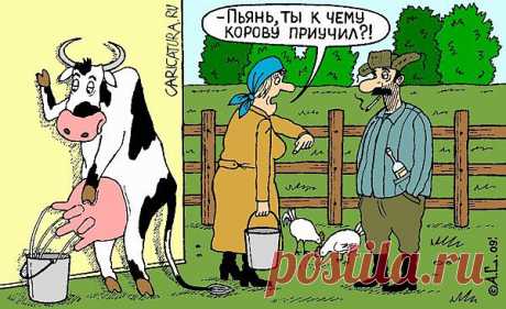 приколы