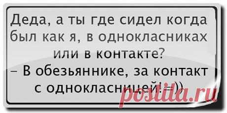 Фразы дня / Писец - приколы интернета