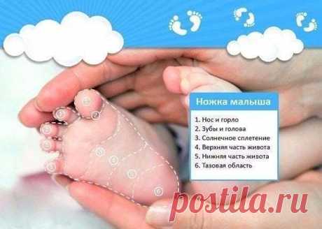 Ножка малыша 

Мягко массируя определенную зону на детской стопе, Вы успокоите своего малыша, если у него что-то болит: 
1 – Нос и горло 
2 – Зубы и голова 
3 – Солнечное сплетение 
4 – Верхняя часть живота 
5 – Нижняя часть живота 
6 – Тазовая область
