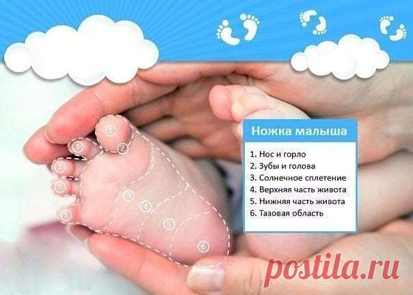 Ножка малыша 

Мягко массируя определенную зону на детской стопе, Вы успокоите своего малыша, если у него что-то болит: 
1 – Нос и горло 
2 – Зубы и голова 
3 – Солнечное сплетение 
4 – Верхняя часть живота 
5 – Нижняя часть живота 
6 – Тазовая область