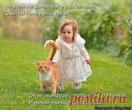 при случае спасет от страшного зверя под названием МЫШЬ...