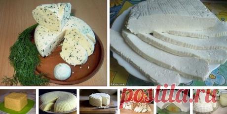 Подборка вкусных домашних сыров!