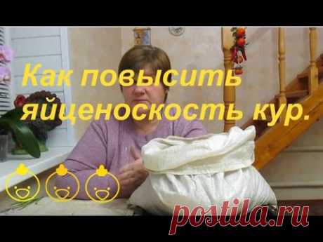 Как повысить яйценоскость кур.| Increasing Egg Production. - YouTube