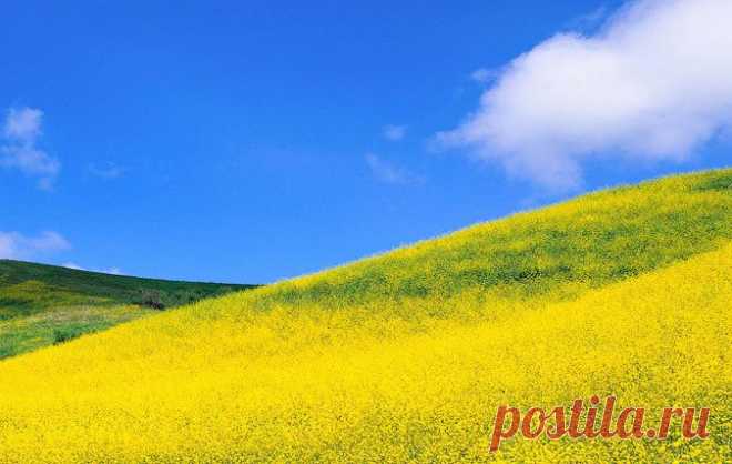 Никитина Татьяна - Когда мы были молодые: караоке, текст и слова песни | Karaoke.ru