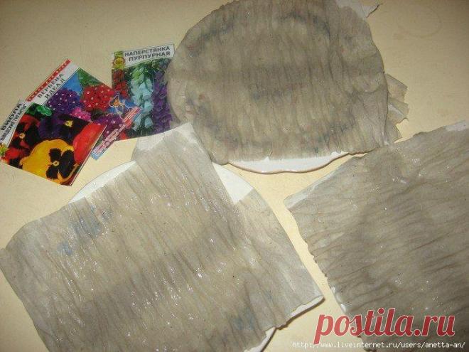 КАК У МЕНЯ ПРОРАСТАЮТ СЕМЕНА. Очень интересный подход проращивания семян