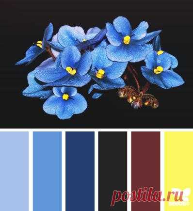 Design Seeds® | find your palette