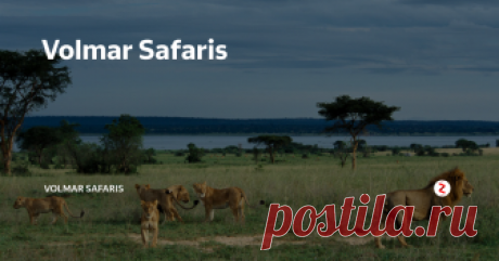 Volmar Safaris Volmar Safaris - предлагает туры в Африку , туры в ЮАР , туры в Кению , туры в Танзанию , туры в Зимбабве , туры в Намибию (охота, сафари, экскурсии, дайвинг, рыбалка). Туры на остров Занзибар и ряд других интереснейших стран африканского континента.
