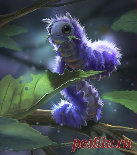 Fuzzy Caterpillar, caroline soucy